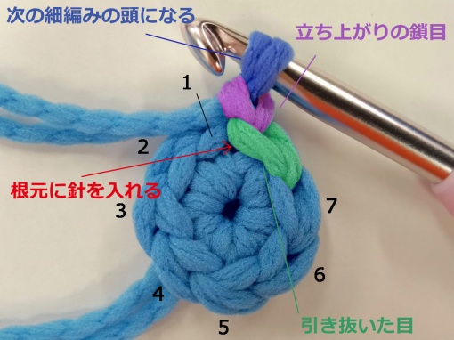 円の編み方の注意箇所まとめ 間違いやすいポイント 悩むポイント Kitto Ameru キットアメル